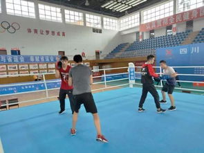 勇敢者的運動 四川省第十三屆運動會拳擊比賽在昭化熱血開賽