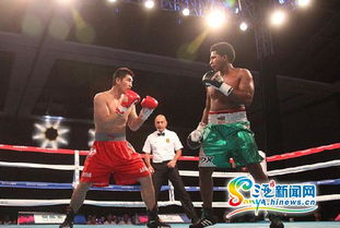 2015世界拳擊聯賽三亞落幕 中國龍不敵墨西哥勇士，拳擊賽事組織迎發(fā)展契機