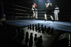 象棋拳擊 德國興起的身心對決新潮